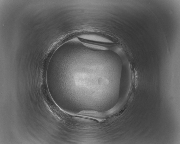 X0000085290496200703161454