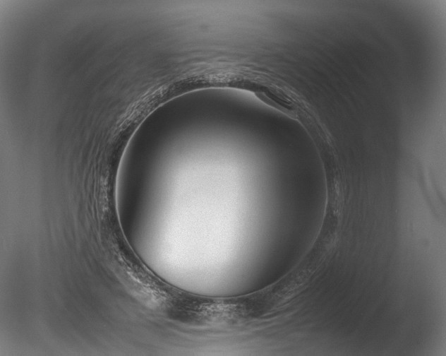 X0000085290497200703161454