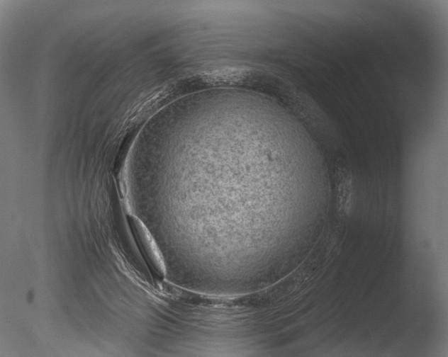 X0000085290498200703161454