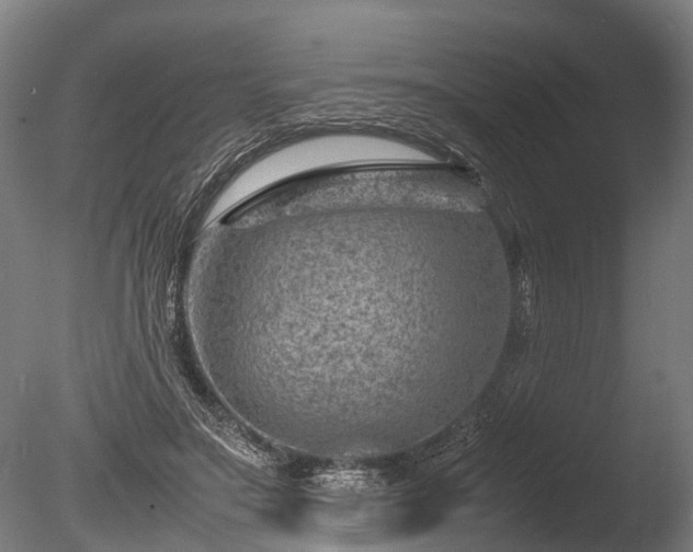 X0000085290499200703161454