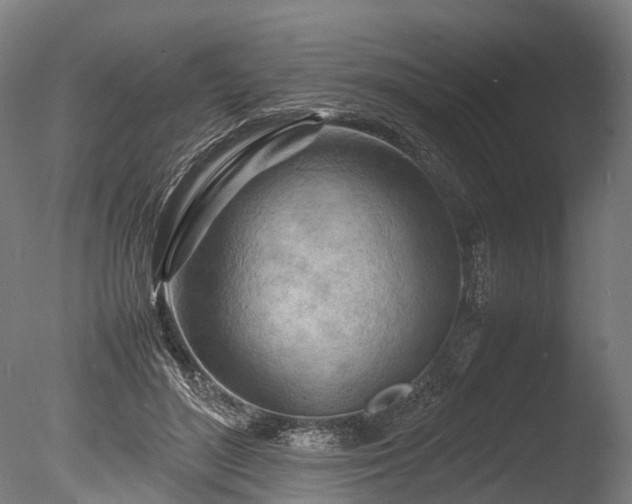 X0000085290500200703161454