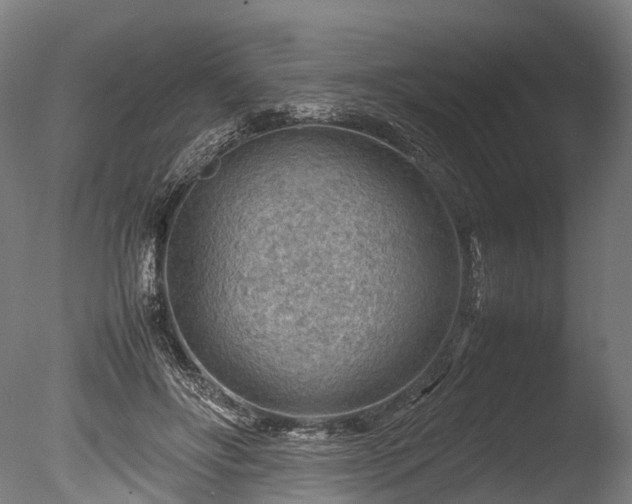 X0000085290502200703161454