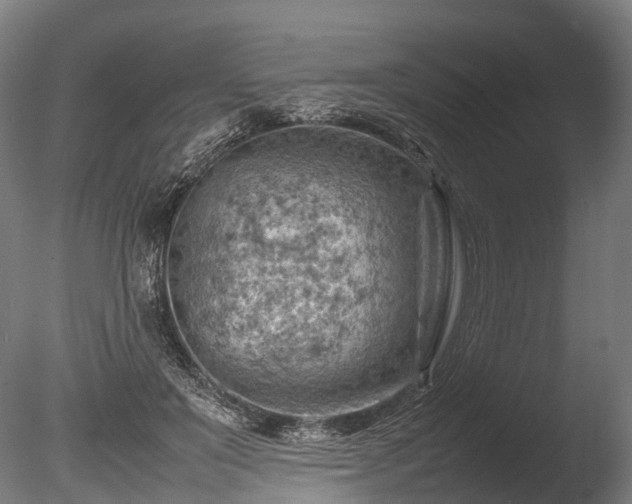 X0000085290503200703161454