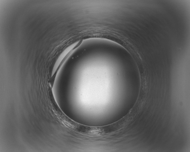 X0000085290505200703161454