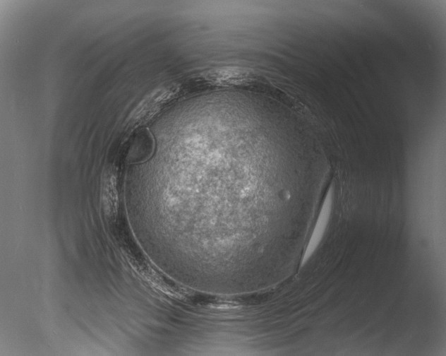 X0000085290506200703161454