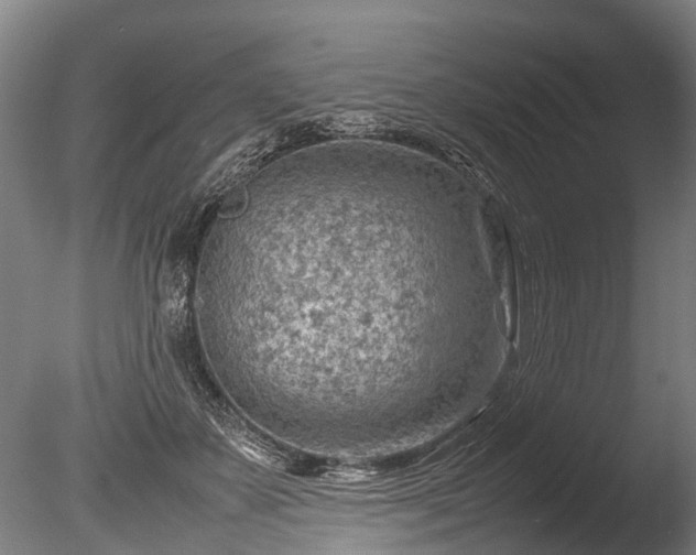 X0000085290507200703161454