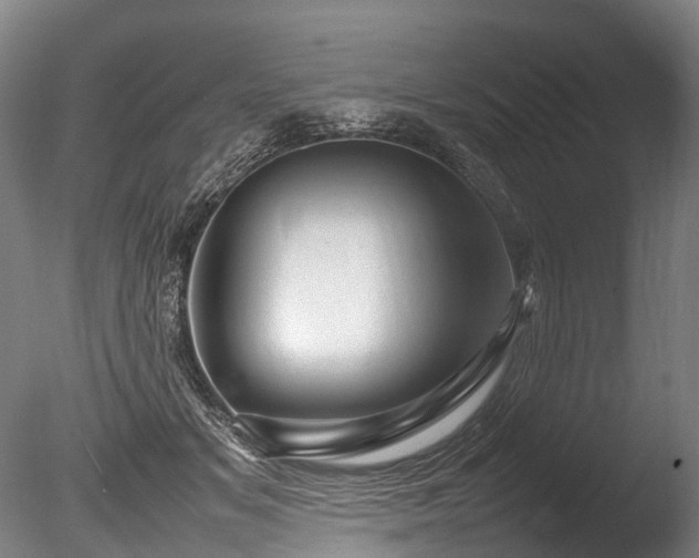 X0000085290509200703161454