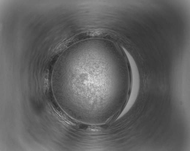 X0000085290510200703161454