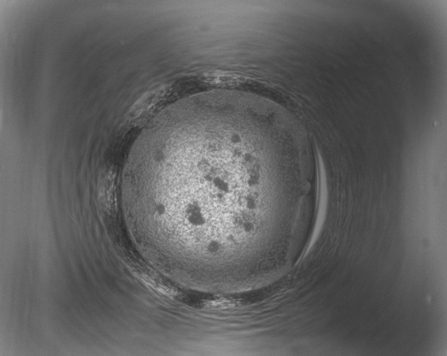 X0000085290511200703161453