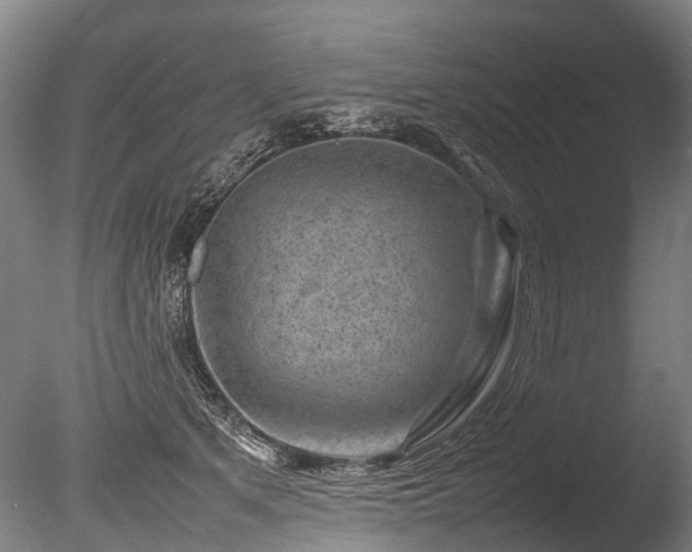 X0000085290513200703161453