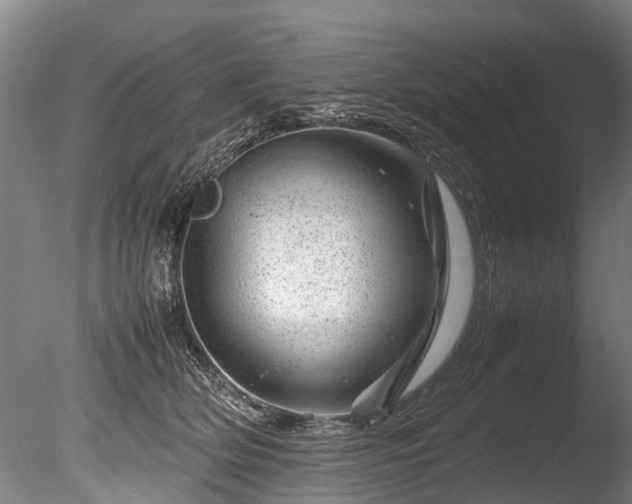 X0000085290514200703161453