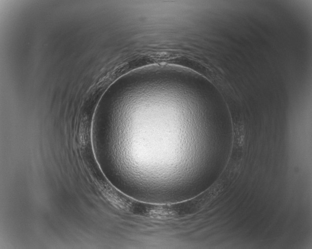 X0000085290515200703161453