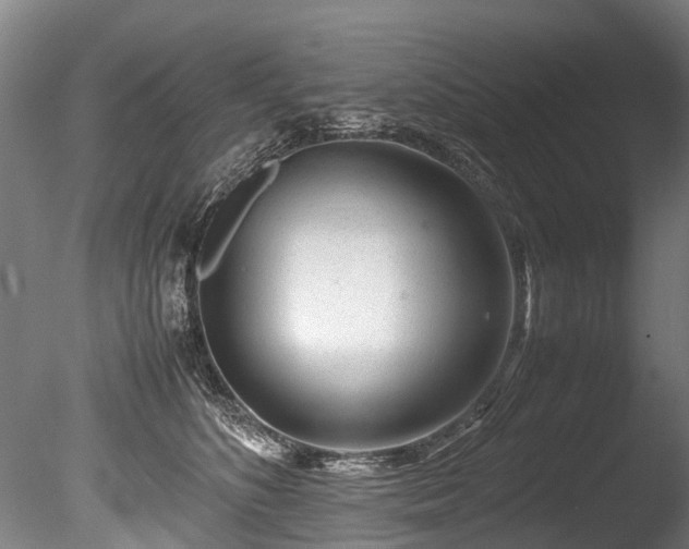 X0000085290516200703161453