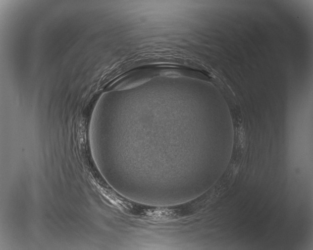 X0000085290517200703161453