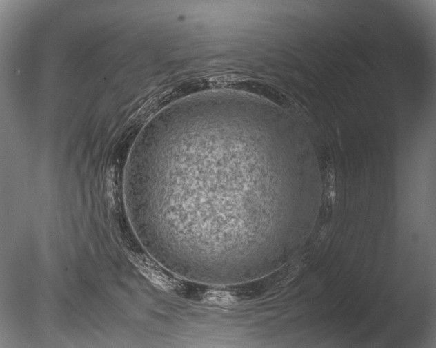 X0000085290519200703161453