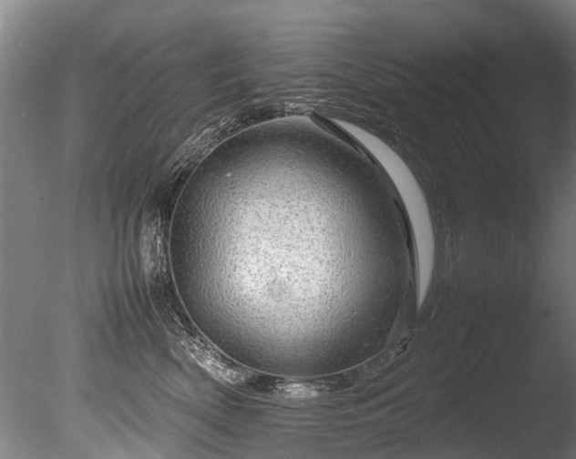 X0000085290522200703161453