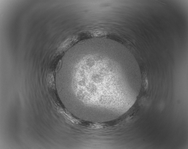 X0000085290523200703161453