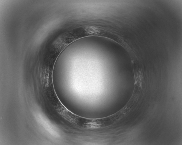 X0000085290525200703161453