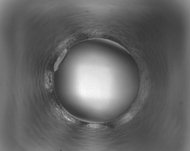 X0000085290528200703161453