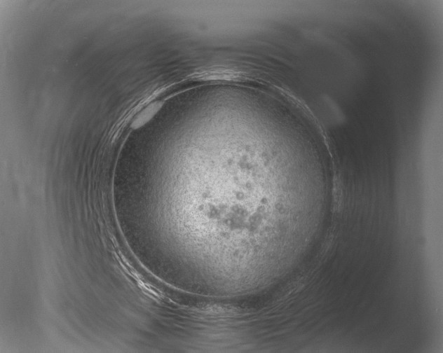 X0000085290529200703161452