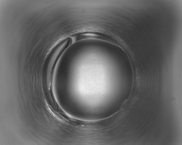 X0000085290530200703161452