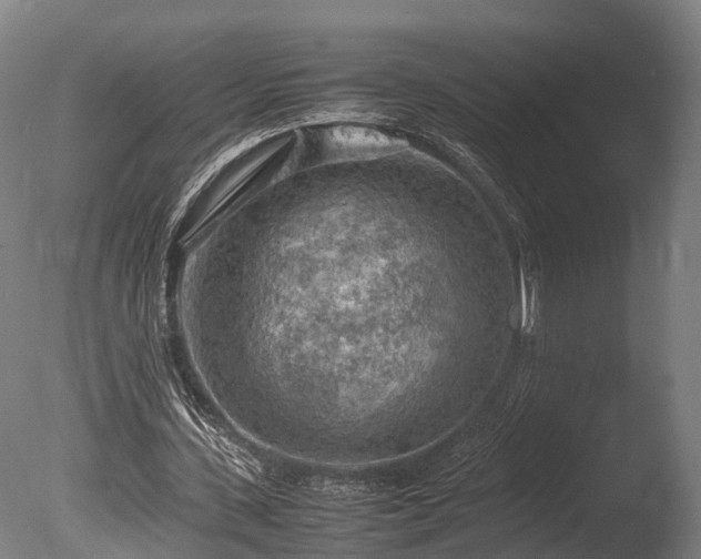 X0000085290531200703161452