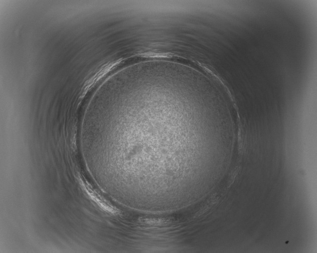 X0000085290533200703161452