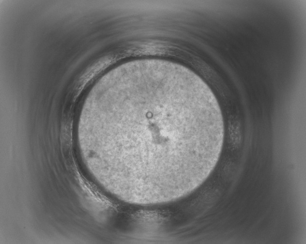 X0000085290534200703161452