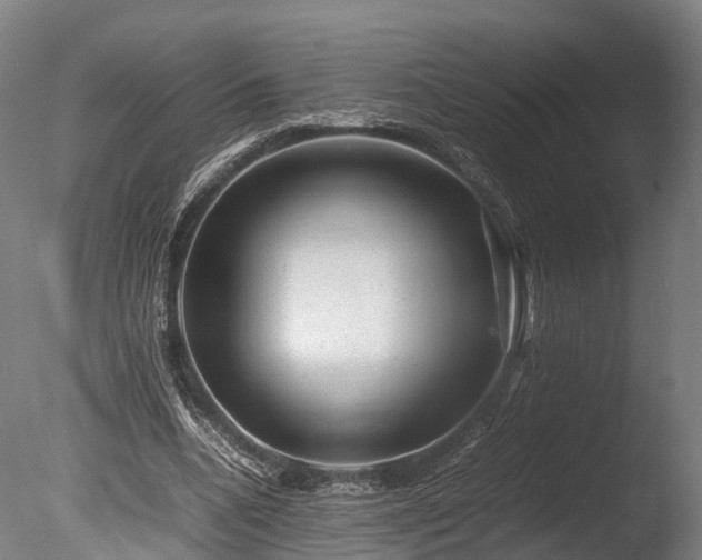 X0000085290536200703161452