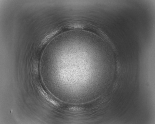 X0000085290537200703161453