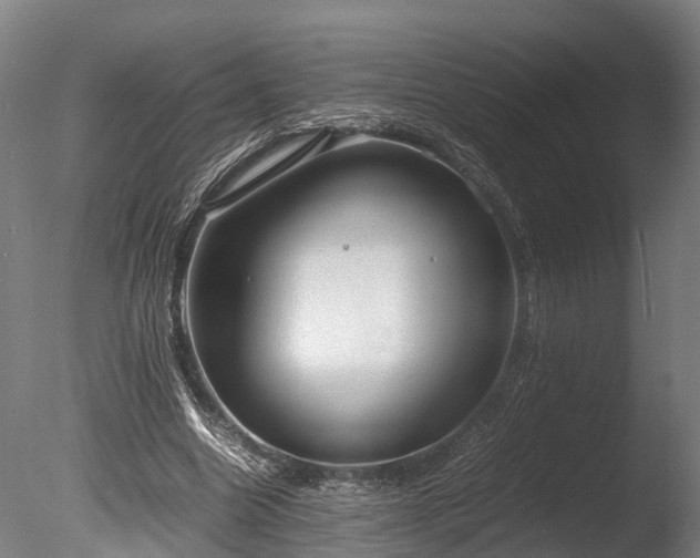 X0000085290538200703161453