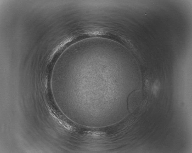 X0000085290539200703161453