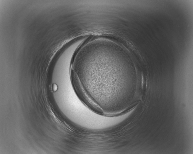 X0000085290540200703161453