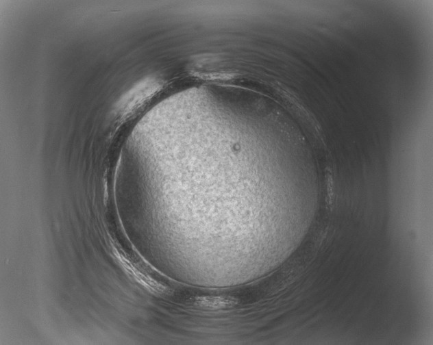 X0000085290541200703161453