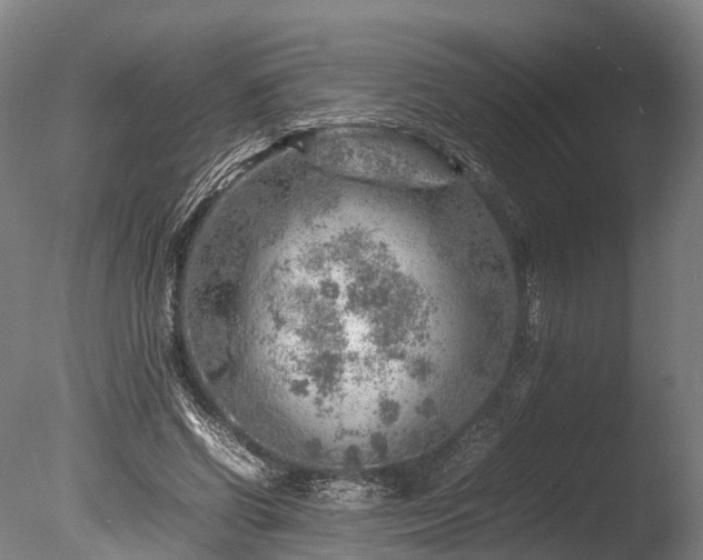 X0000085290542200703161453