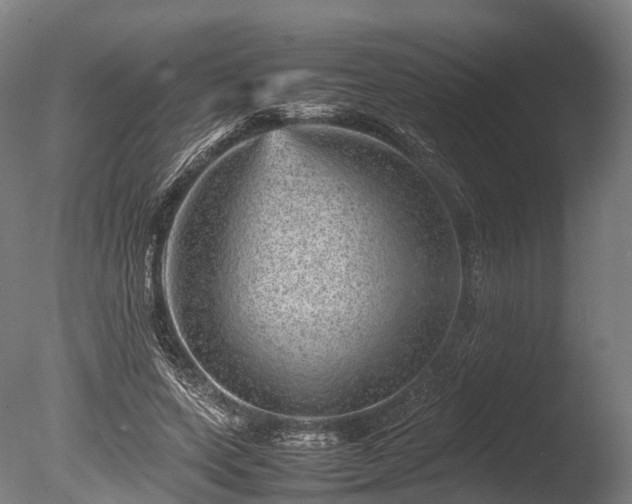 X0000085290543200703161453