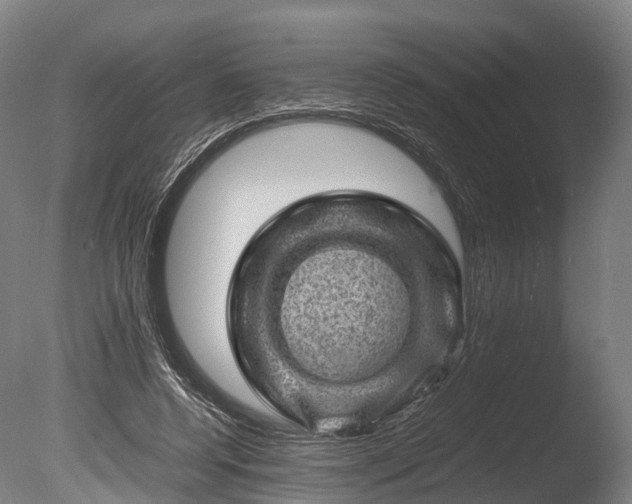 X0000085290544200703161453