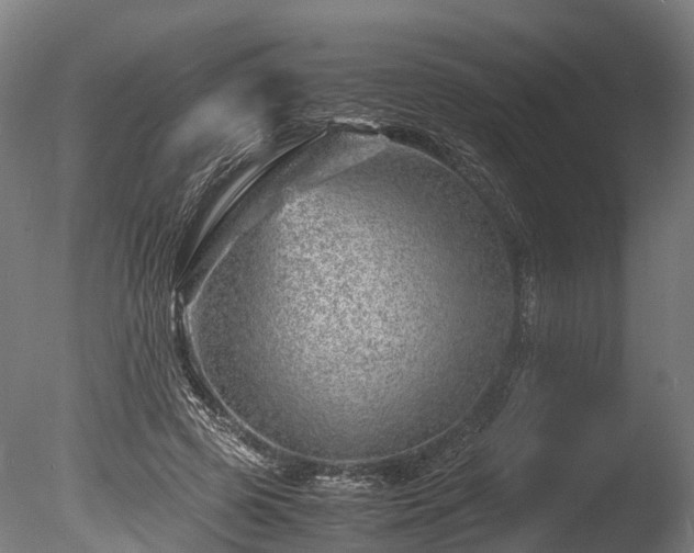 X0000085290545200703161453