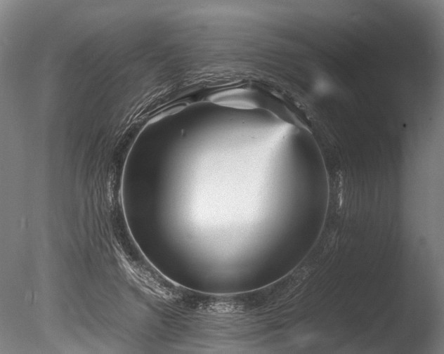 X0000085290546200703161453