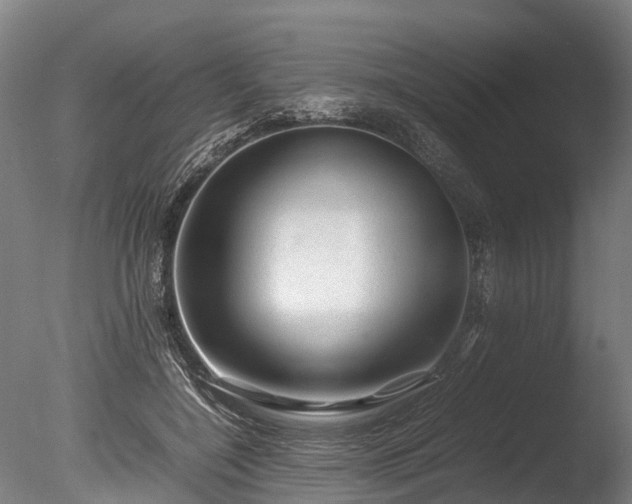 X0000085290548200703161453