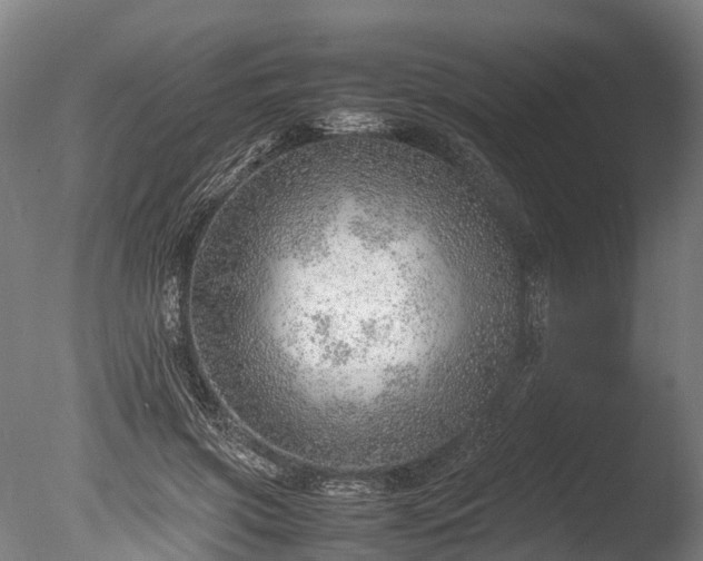 X0000085290549200703161453