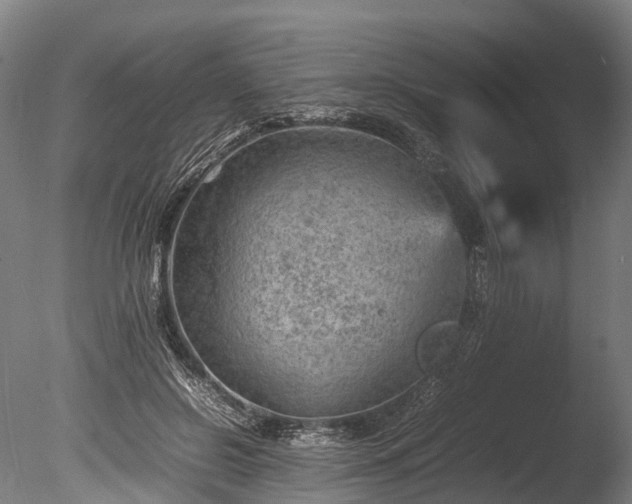 X0000085290550200703161453