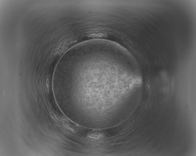 X0000085290551200703161453