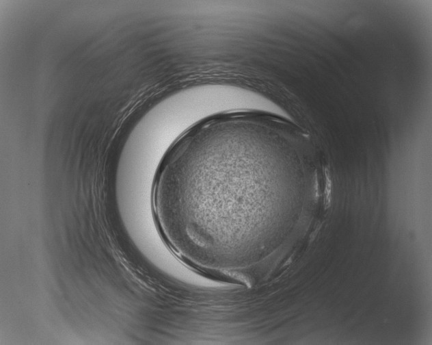 X0000085290552200703161453