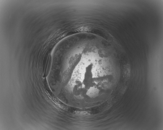 X0000085290553200703161453