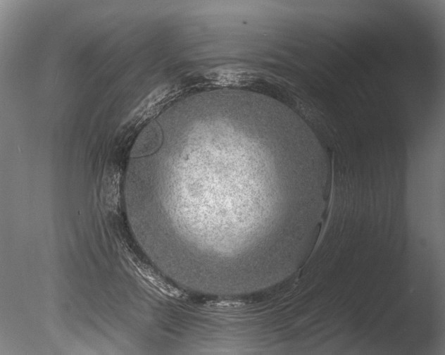 X0000085290554200703161453