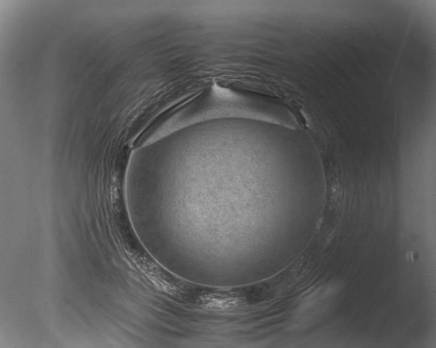 X0000085290555200703161453