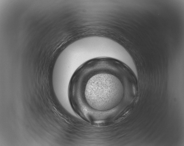 X0000085290556200703161453