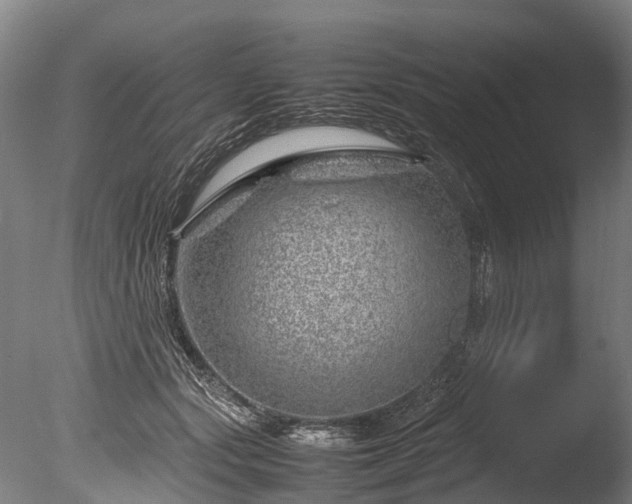 X0000085290557200703161453