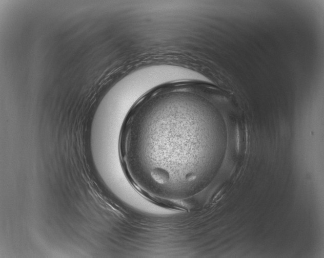 X0000085290558200703161453